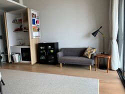 OUE Twin Peaks (D9), Condominium #607483401